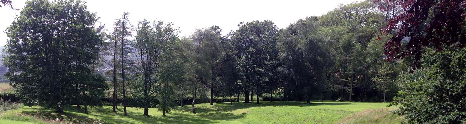 Buckley Farmhouse garden
