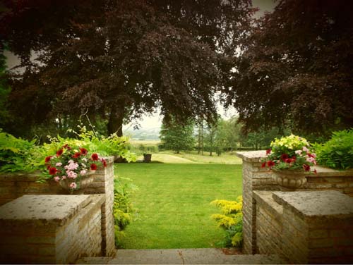 View over the garden View over the garden